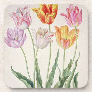 Dessous-de-verre Tulipes, du "Florilegium de Nassau" (la semaine