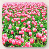 Dessous-de-verre Tulips (Devant)