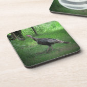 Dessous-de-verre Turquie sauvage sur la pelouse (Côté gauche)