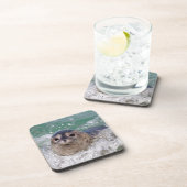 Dessous-de-verre Un bébé phoque surfant (Côté Droit)