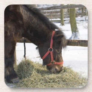 Dessous-de-verre Un cheval indigène à l'origine du Gotland où