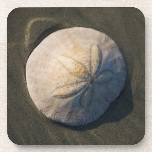 Dessous-de-verre Un dollar de sable sur la plage (Devant)