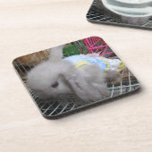 Dessous-de-verre Un lapin en robe (Côté gauche)