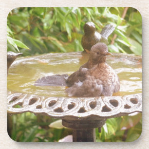 Dessous-de-verre Un Oiseau Dans Le Bain