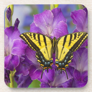 Dessous-de-verre Un papillon Monarque sur des Glaïeuls violets