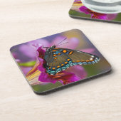 Dessous-de-verre Un papillon swallowtail (Côté gauche)