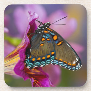 Dessous-de-verre Un papillon swallowtail