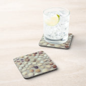 Dessous-de-verre Une collection de coquillages (Côté Droit)
