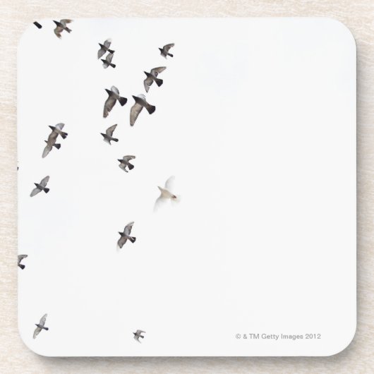 Dessous-de-verre Une volée des oiseaux vole au ciel (Devant)