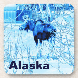 Dessous-de-verre Urban Moose
