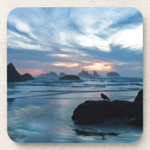 Dessous-de-verre USA, Oregon, Bandon Beach. Mouette sur pierre