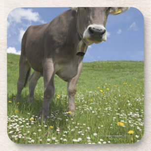 Dessous-de-verre vache bavaroise