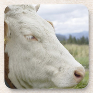 Dessous-de-verre Vache Brown avec un signe dans lui ? oreille de s