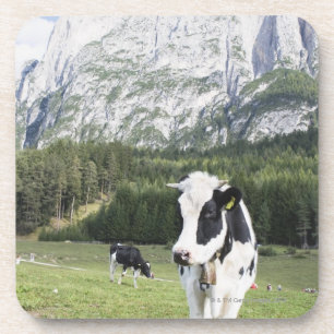Dessous-de-verre Vache dans un pré, Fie Sciliar Allo, alto l'Adige