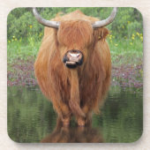 Dessous-de-verre Vache de Highland (Devant)