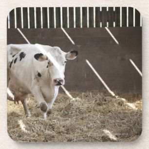 Dessous-de-verre Vache laitière