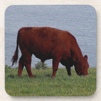 Dessous-de-verre Vache rouge du sud Grazeing à Devon sur le