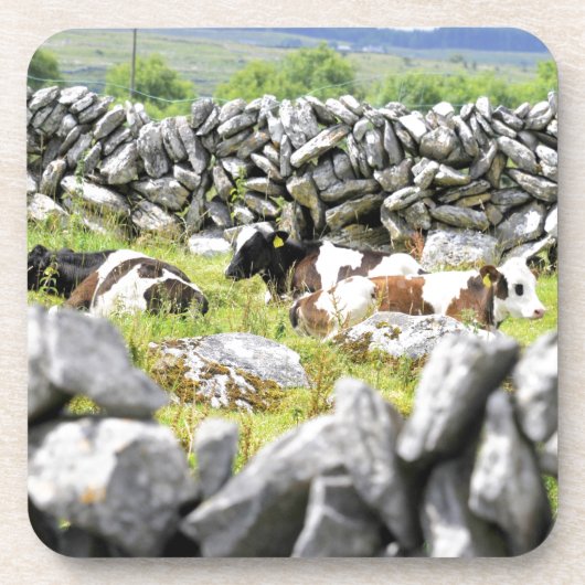 Dessous-de-verre Vaches Moo (Devant)