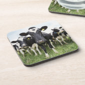 Dessous-de-verre Vaches se tenant dans une rangée regardant (Côté gauche)