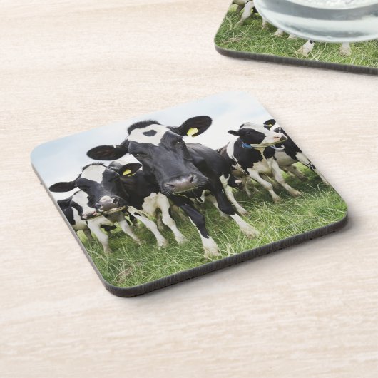 Dessous-de-verre Vaches se tenant dans une rangée regardant (Côté gauche)