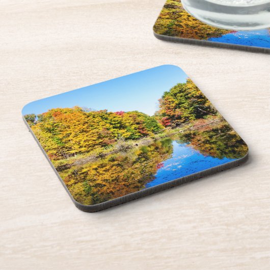 Dessous-de-verre Vassar Farms Pond (Côté gauche)