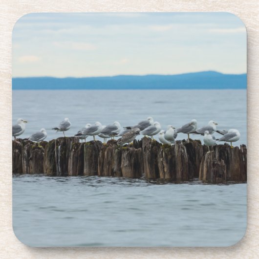 Dessous-de-verre Ventilation de moules (Devant)