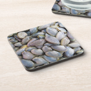 Dessous-de-verre Venus Clam [ห อ ย ล า ย]