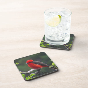 Dessous de verre Vermilion Flycatcher