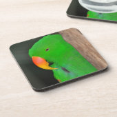 Dessous de verre vert éclectique de perroquets (Côté gauche)