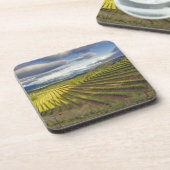 Dessous-de-verre Vignoble. Napa Valley. Napa. Comté de Napa, (Côté gauche)