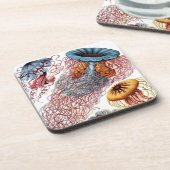 Dessous-de-verre Vintage Haeckel (Côté gauche)