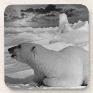 Dessous-de-verre Vintage Ours polaire de l'Alaska