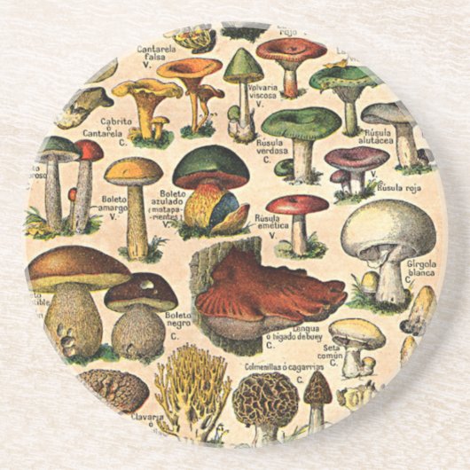 Dessous de verre vintages de guide de champignon (Devant)