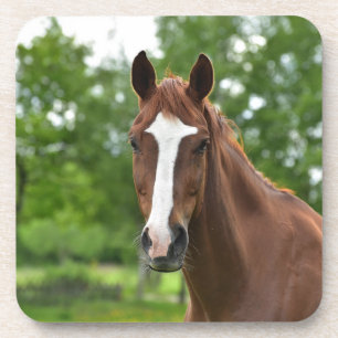 Dessous-de-verre Visage de cheval avec l'inscription