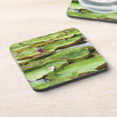 Dessous-de-verre Vitoria Regis, nénuphars géants de l'Amazonie (Côté gauche)