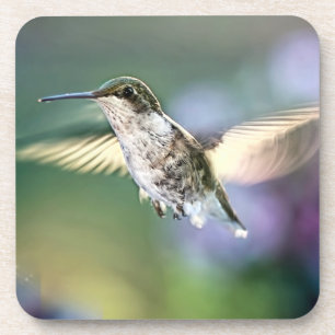 Dessous-de-verre Vol de colibri