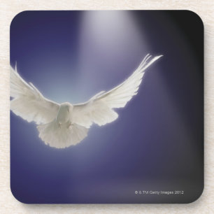 Dessous-de-verre Vol de colombe par le faisceau de lumière