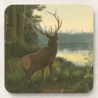 Vue arrière du lac Elk Vue sur un lac