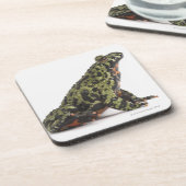 Dessous-de-verre Vue de côté d'un crapaud gonflé par feu oriental (Côté gauche)