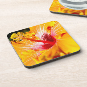 Dessous-de-verre Vue latérale de l'Hibiscus orange