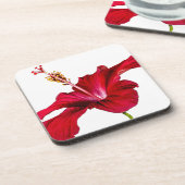 Dessous-de-verre Vue latérale de l'Hibiscus rouge (Côté gauche)