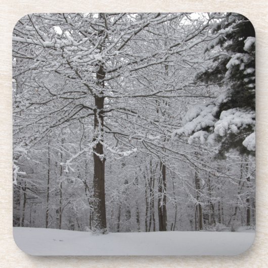 Dessous-de-verre Vue Woods (Devant)