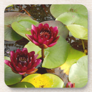 Dessous-de-verre Water Lily Hard Plastic Coaster