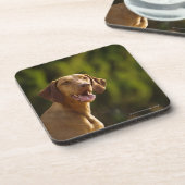 Dessous-de-verre Weimaraner (Côté gauche)