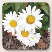 Dessous de verre White Daises (Devant)