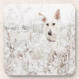 Dessous-de-verre White German Shepherd in the Snow
