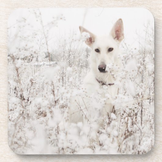Dessous-de-verre White German Shepherd in the Snow (Devant)