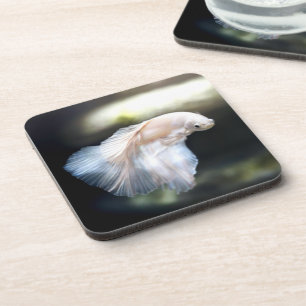 Dessous-de-verre White siamese Fighting Fish
