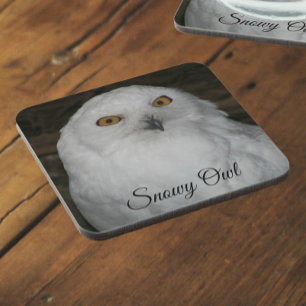 Dessous-de-verre White Snowy Owl Photo Beverage Coaster