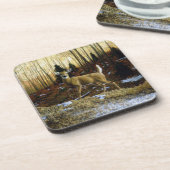 Dessous-de-verre Whitetail Deer Doe dans la forêt d'automne (Côté gauche)